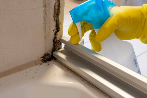 Best Mold Cleaning Services  in Linden, AZ